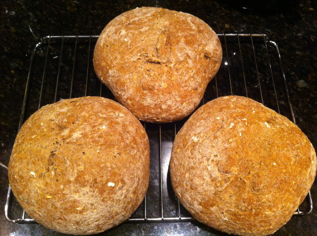 IPA Honey Oat Homebrewed Beer Grain Bread Homebrewed Antiquity