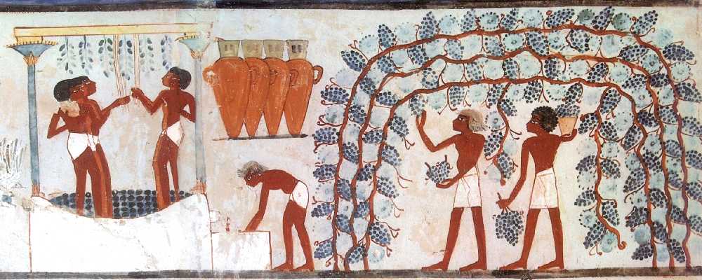 Harvesting Grapes, Tomb of Nakht
