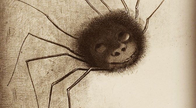 fuzzy, cartoonish spider with a smiling face