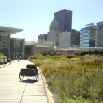 View of the Art Institute from Lurie Garden